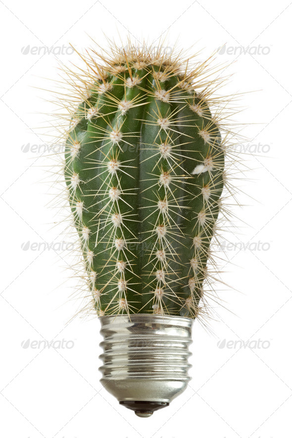 Cactus Growing Out Of A Bulb - Stock Photo - Images