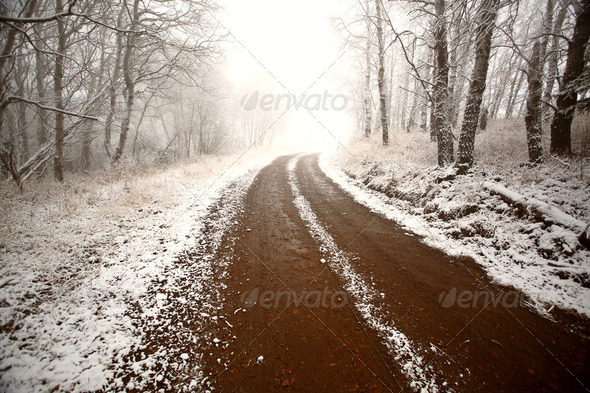 Ice fog in Cypress Hills Provincial Park of Saskatchewan - Stock Photo - Images