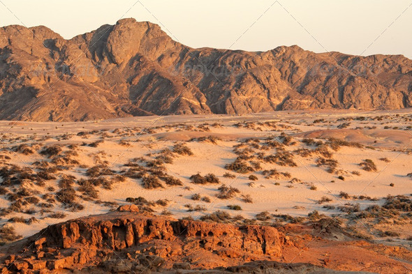 Namib desert - Stock Photo - Images