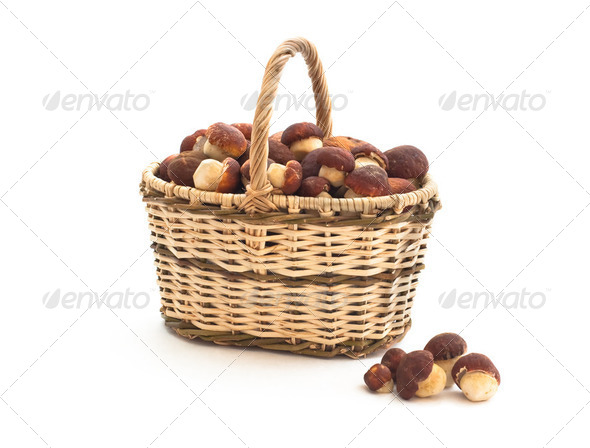 Basket full of cepe mushrooms and small pile on white background - Stock Photo - Images