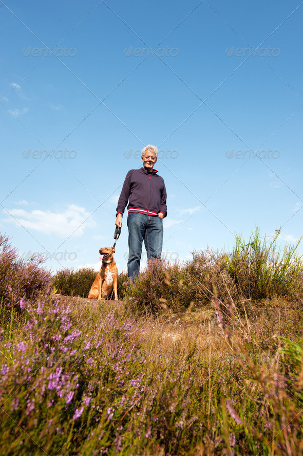 Heather landscape man and dog - Stock Photo - Images