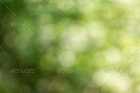 Natural green blurred background.