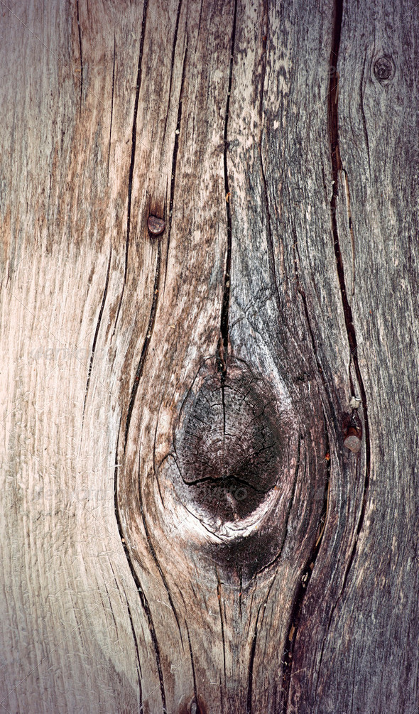ancient knotted weathered wood - Stock Photo - Images