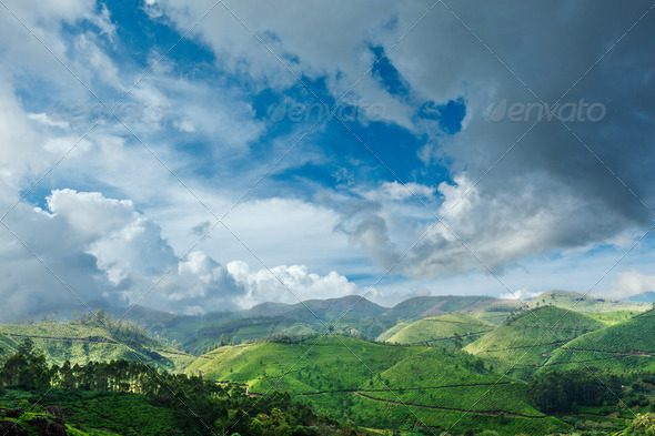 Tea plantations and sky with clouds. Munnar, Kerala, India - Stock Photo - Images
