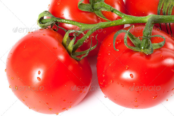 Bunch of fresh tomatoes with water drops - Stock Photo - Images