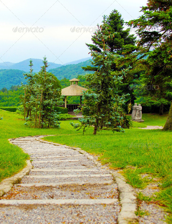 Beautiful garden - Stock Photo - Images