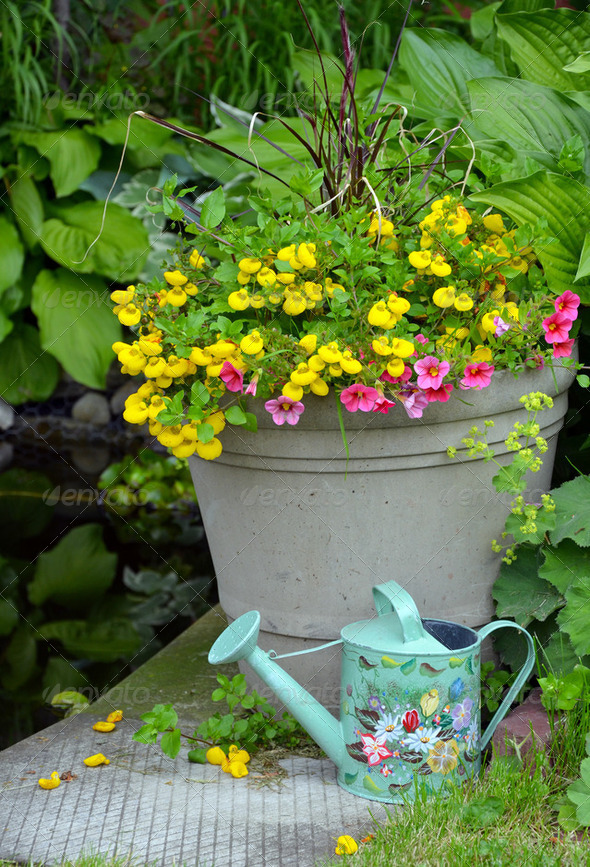 Spring planter - Stock Photo - Images