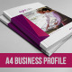 Business Profile Brochure Business Profile Brochure - GraphicRiver Item for Sale