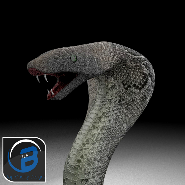 3DOcean Cobra 3373461 3DOcean Cobra 3373461