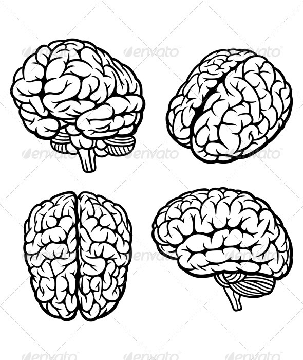 GraphicRiver Human Brain 3384186 GraphicRiver Human Brain 3384186