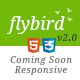 Flybird - Coming Soon Page Flybird - Coming Soon Page - ThemeForest Item for Sale