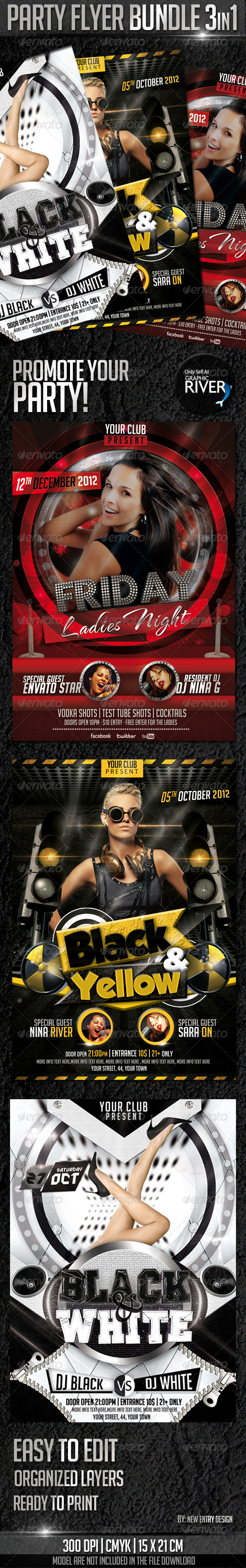 GraphicRiver Party Flyer Bundle 3in1 3410080 GraphicRiver Party Flyer Bundle 3in1 3410080