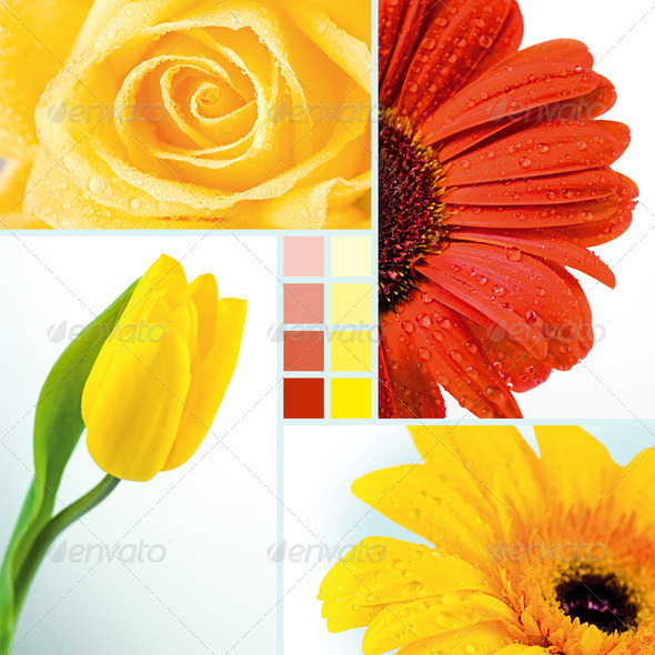 Stock Photo - PhotoDune Flowers 370186 Stock Photo - PhotoDune Flowers 370186