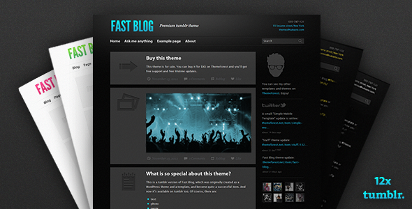 ThemeForest Fast Blog tumblr theme Blogging Tumblr 3432163