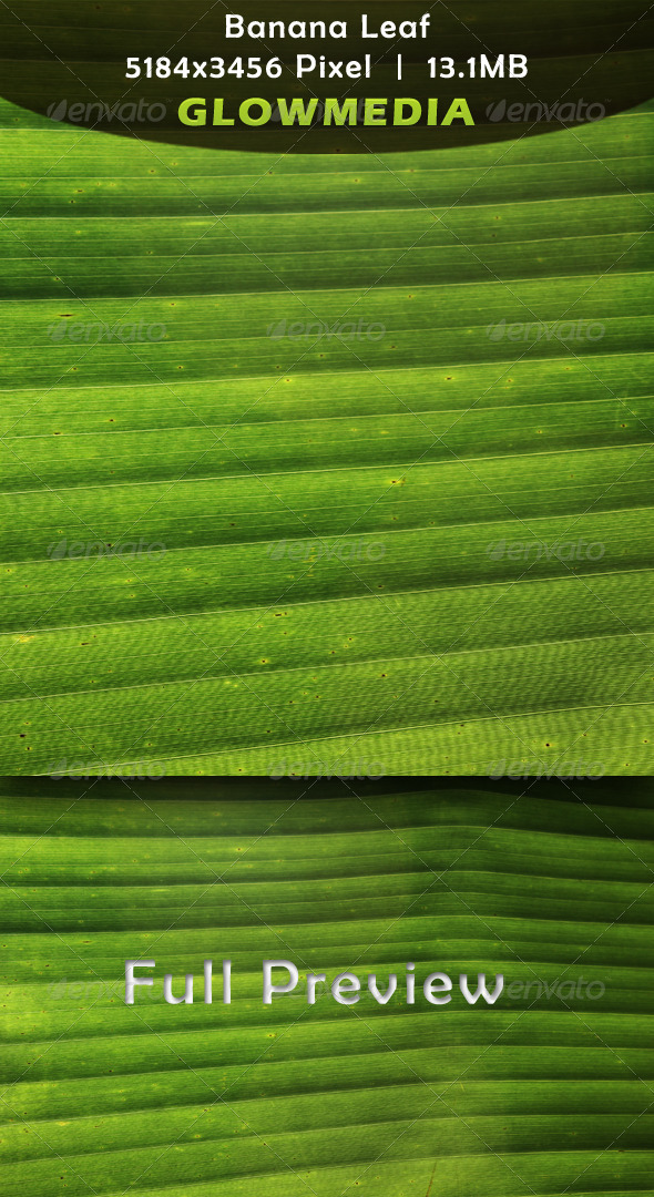 GraphicRiver Banana Leaf 3432456 GraphicRiver Banana Leaf 3432456