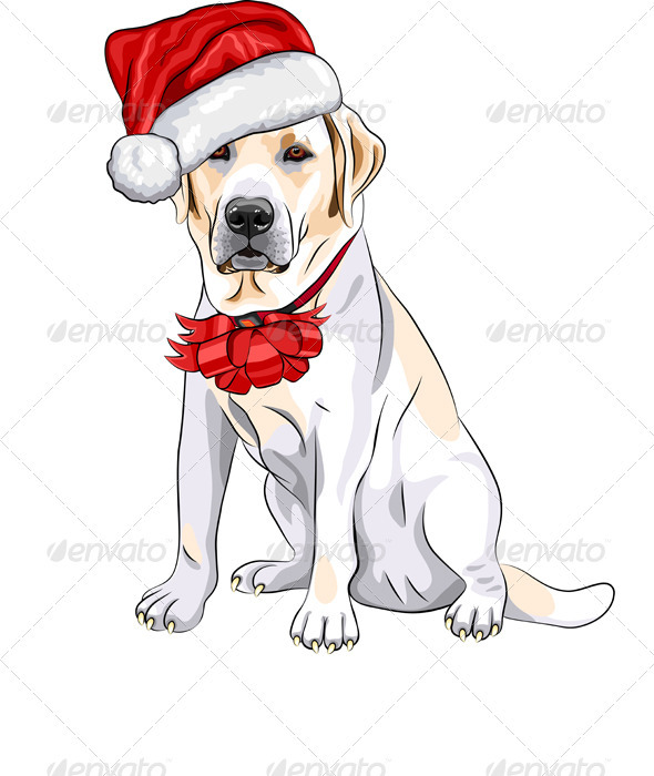 Vector Dog Labrador in the Red Hat of Santa Claus - Christmas Seasons/Holidays