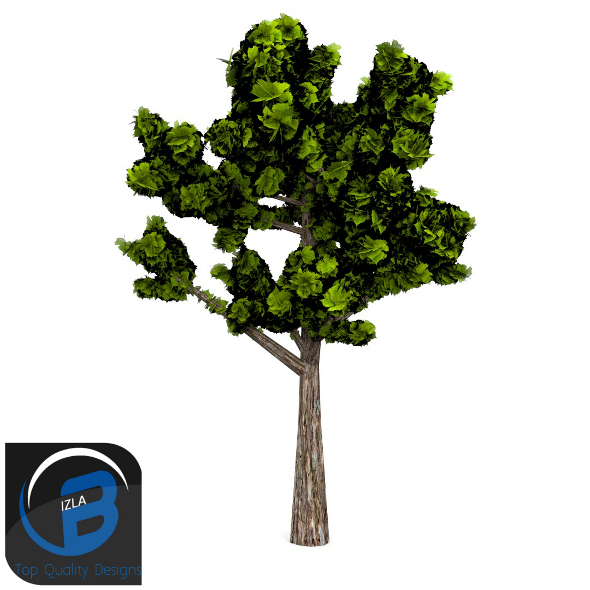 3DOcean Tree 1 3505185 3DOcean Tree 1 3505185