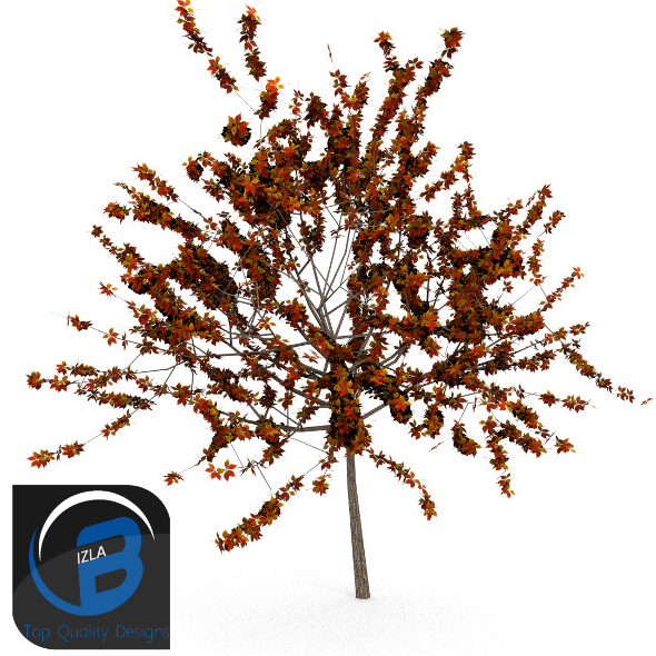 3DOcean Tree 9 3506399 3DOcean Tree 9 3506399