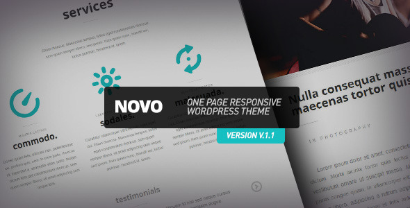 ThemeForest Novo One Page Responsive Wordpress Theme 3455648