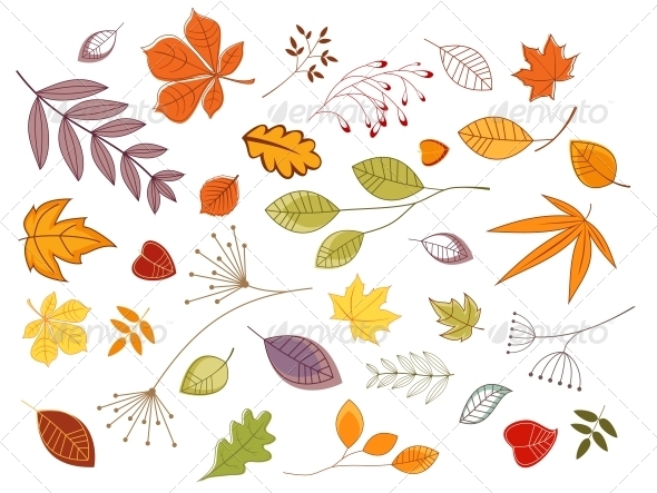 GraphicRiver Autumnal Leaves and Plants 3533576 GraphicRiver Autumnal Leaves and Plants 3533576