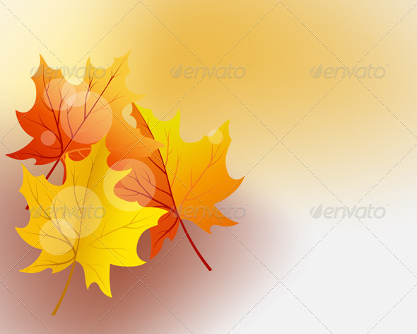 GraphicRiver Autumn Maples 3536313 GraphicRiver Autumn Maples 3536313
