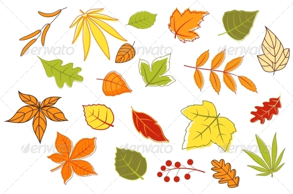 GraphicRiver Colorful Autumn Leaves and Plants 3561754 GraphicRiver Colorful Autumn Leaves and Plants 3561754