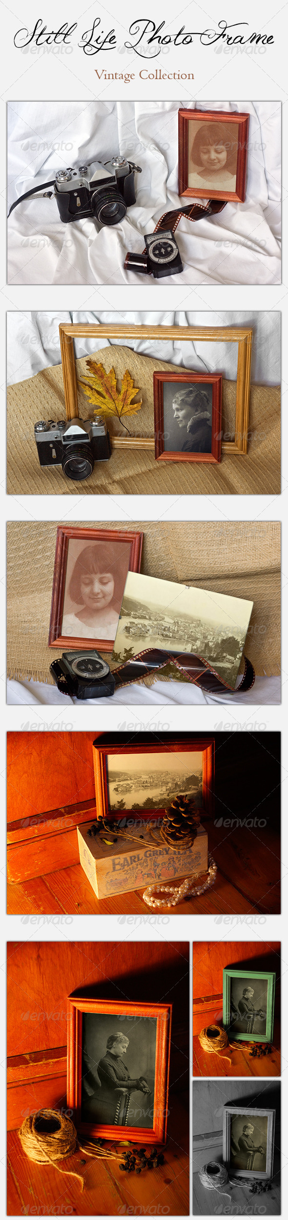 GraphicRiver Still Life Photo Frame Vintage Collection 3580445 GraphicRiver Still Life Photo Frame Vintage Collection 3580445