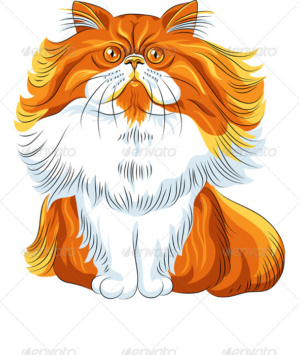 GraphicRiver Vector Color Sketch Fluffy Persian Cat 3591629 GraphicRiver Vector Color Sketch Fluffy Persian Cat 3591629