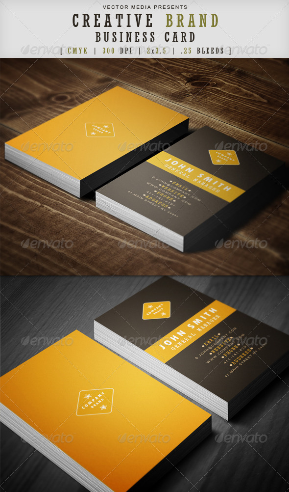 GraphicRiver Creative Brand Business Card 3593186 GraphicRiver Creative Brand Business Card 3593186