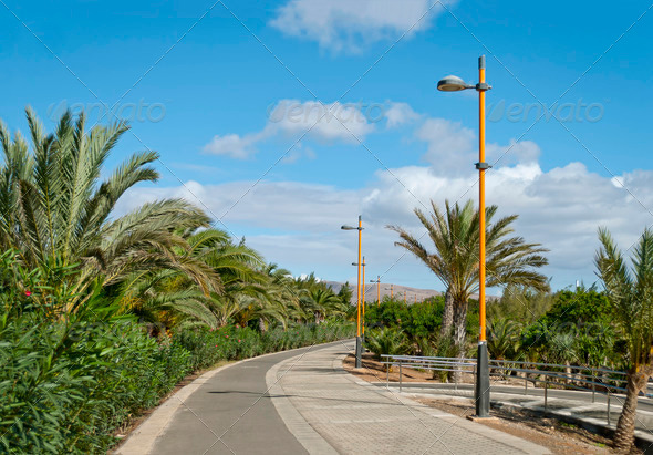 Fuerteventura - Stock Photo - Images
