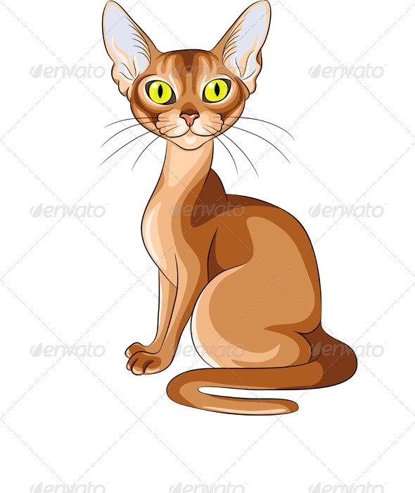 GraphicRiver Vector Color Sketch of the Red Cat Abyssinian 3646505 GraphicRiver Vector Color Sketch of the Red Cat Abyssinian 3646505