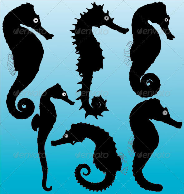 GraphicRiver Seahorse Silhouettes 3690870 GraphicRiver Seahorse Silhouettes 3690870