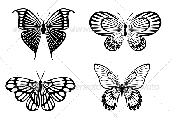 GraphicRiver Butterfly Tattoos 3715230 GraphicRiver Butterfly Tattoos 3715230