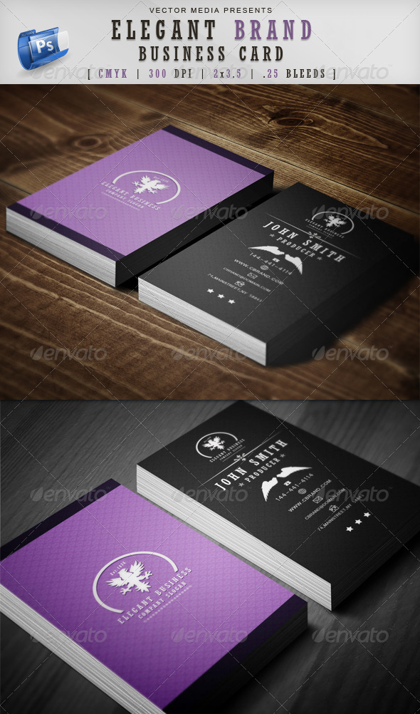 GraphicRiver Elegant Brand Business Card 3715514 GraphicRiver Elegant Brand Business Card 3715514