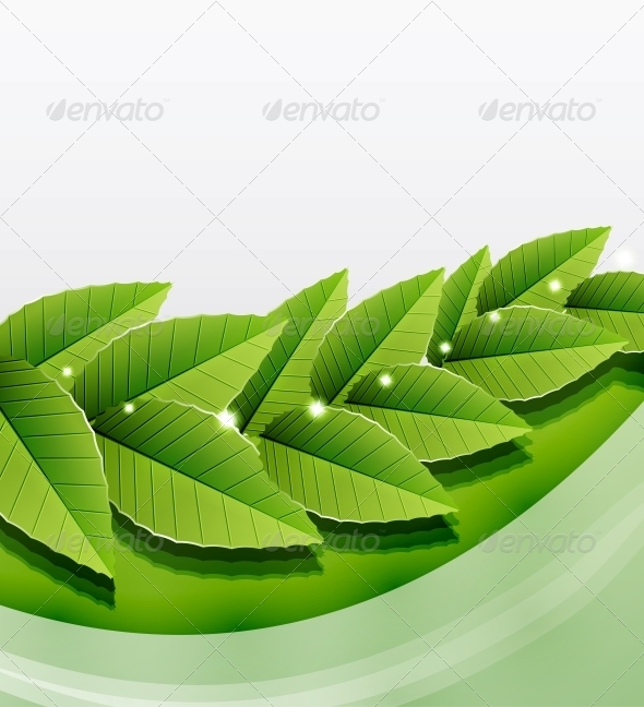 GraphicRiver Green Leaves Nature Background 3782693 GraphicRiver Green Leaves Nature Background 3782693