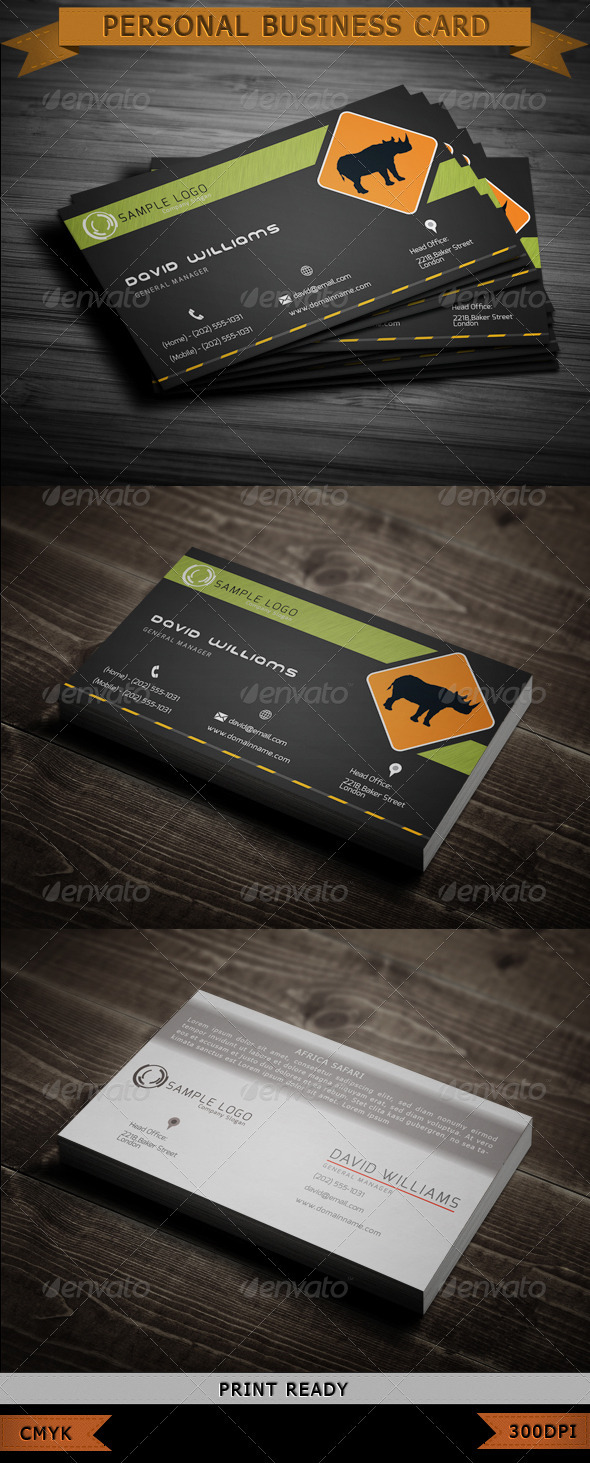 GraphicRiver Adventure Travel Business Card 3732119 GraphicRiver Adventure Travel Business Card 3732119