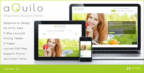 ThemeForest Aquilo Responsive Business HTML Template 3836631 ThemeForest Aquilo Responsive Business HTML Template 3836631