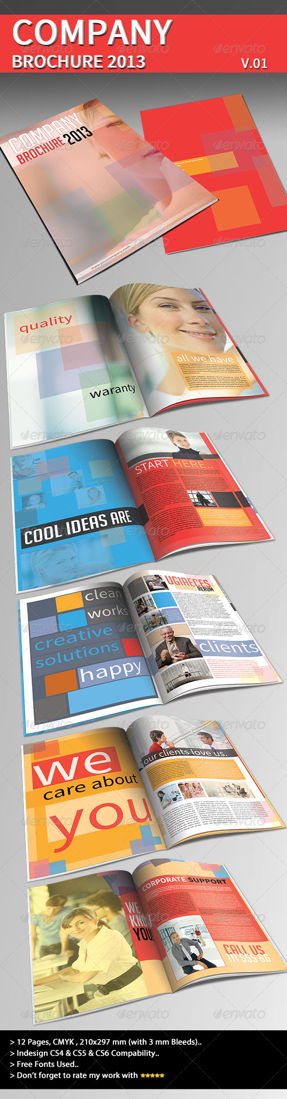 Company Brochure 2013 Part 01 - Informational Brochures