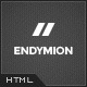 Endymion - Simple &amp; Clean Corporate Template - ThemeForest Item for Sale