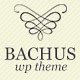 Bachus - Elegant business theme - ThemeForest Item for Sale