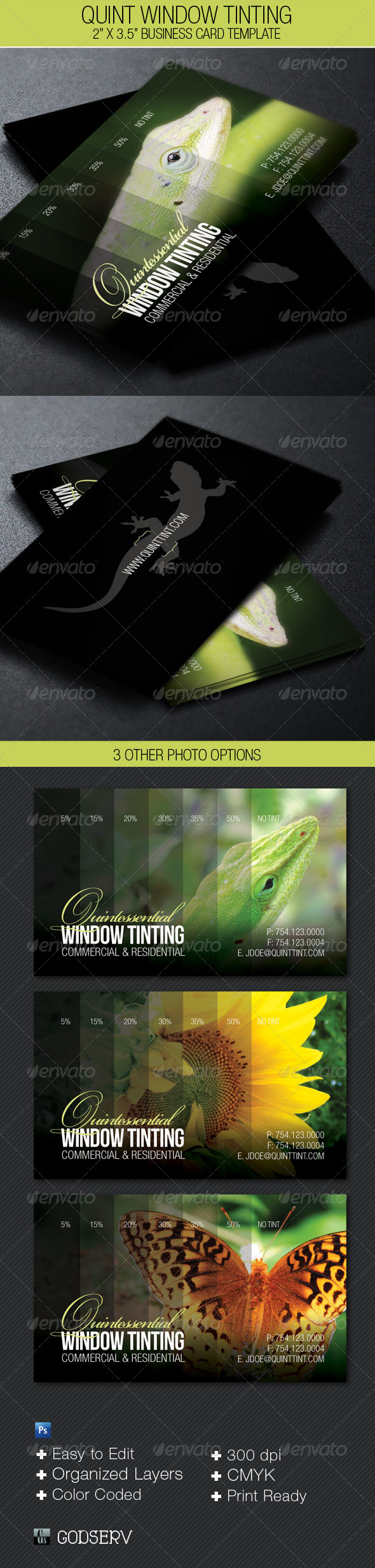 Quint Window Tinting Business Card Template - Industry Specific Business Cards