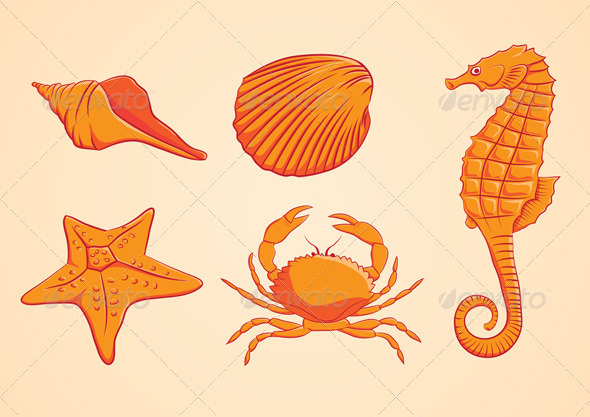 GraphicRiver Sea Animal Orange 3940091 GraphicRiver Sea Animal Orange 3940091