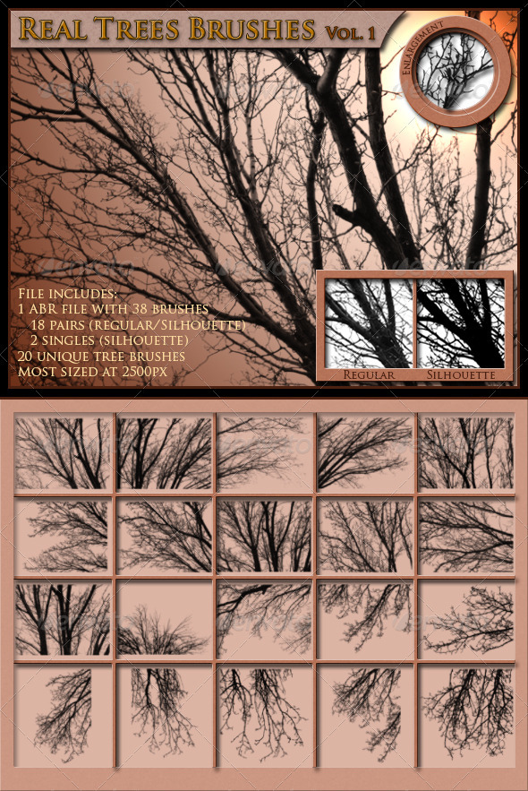 GraphicRiver Real Trees Brushes Volume 1 3947869 GraphicRiver Real Trees Brushes Volume 1 3947869