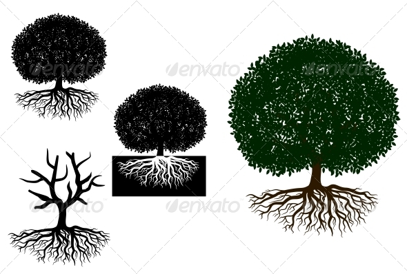 Big Tree with Roots - Flowers & Plants Nature