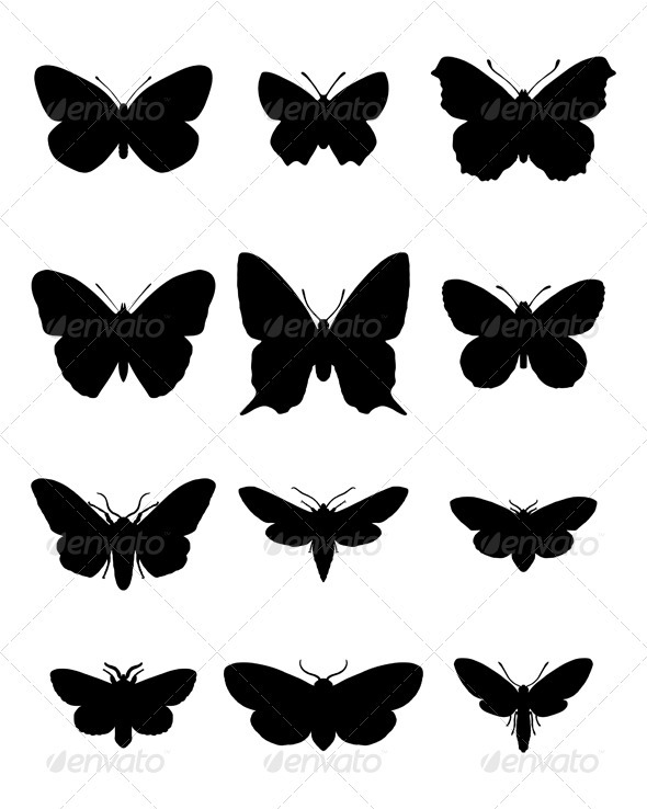 GraphicRiver Butterfly and moth silhouettes 3972947 GraphicRiver Butterfly and moth silhouettes 3972947