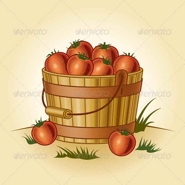 GraphicRiver Retro Bucket Of Tomatoes 3993499 GraphicRiver Retro Bucket Of Tomatoes 3993499