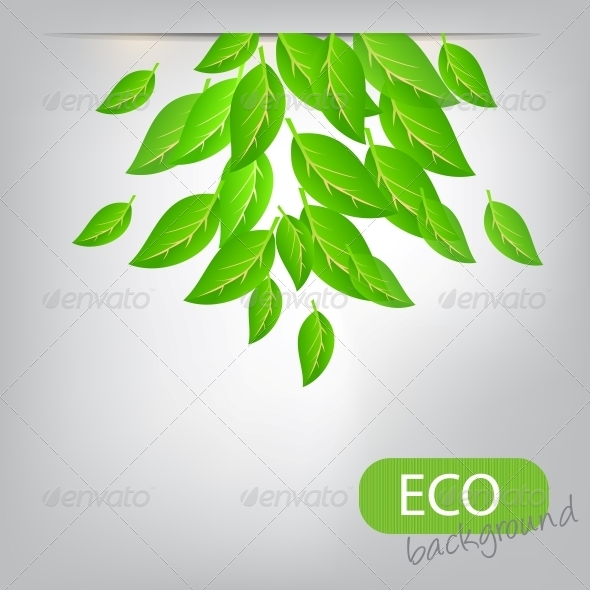 GraphicRiver Eco Leaves Background 4067852 GraphicRiver Eco Leaves Background 4067852