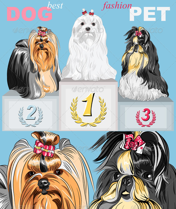 GraphicRiver Vector Fashion Dog Champion on the Podium 4079643 GraphicRiver Vector Fashion Dog Champion on the Podium 4079643