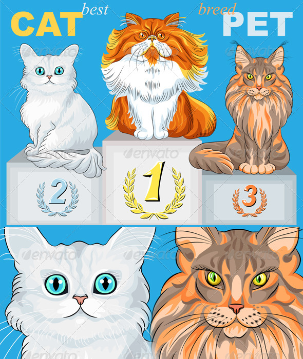GraphicRiver Cat Champions on Podium 4086162 GraphicRiver Cat Champions on Podium 4086162