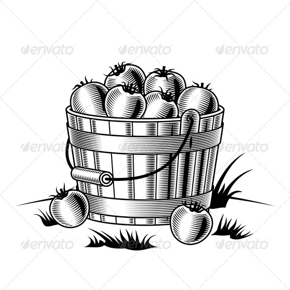 GraphicRiver Bucket Of Tomatoes Black And White 4086567 GraphicRiver Bucket Of Tomatoes Black And White 4086567